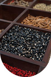 Ayurveda Health Benefits